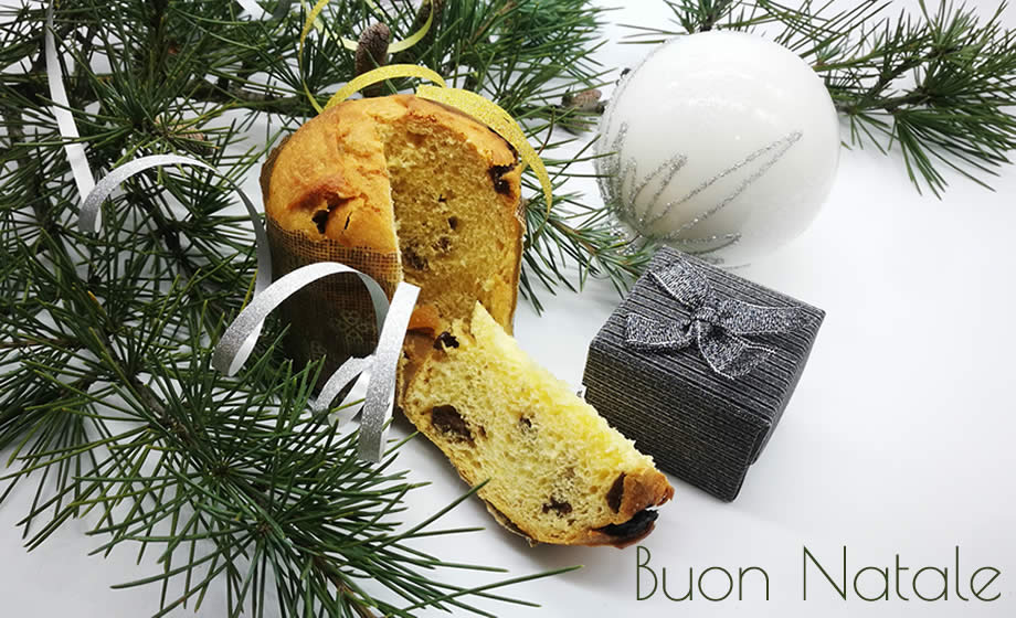 Foto Natalizia con ramo di abete, panettone, pallina e pacchetto regalo.