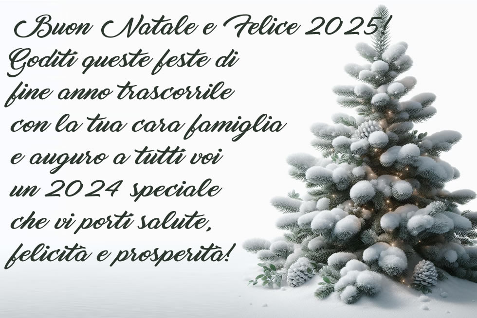 immagine biglietto di auguri Buon Natale e Felice Anno Nuovo 2024