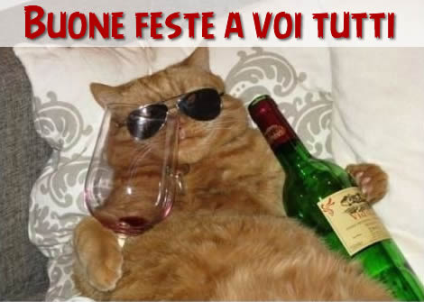 Biglietto auguri con immagine gatto in relax di festa.