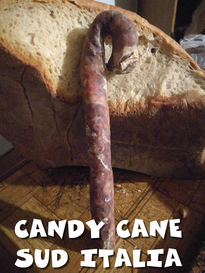 Foto divertente salame a forma di candy cane.