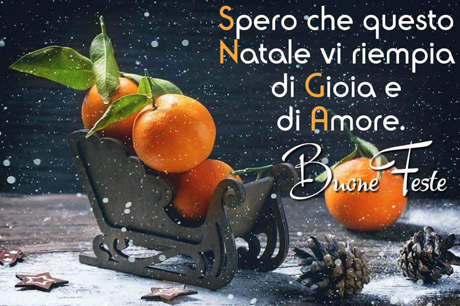 Auguri di Natale con mandarini e testo di  Buone Feste