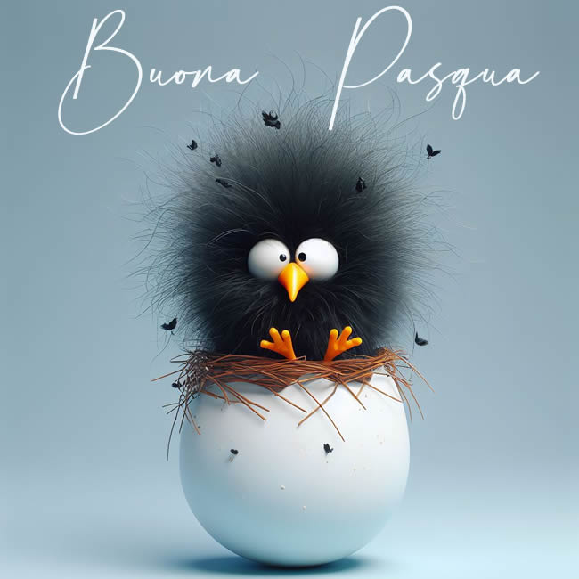 Immagine di pasqua divertente con un pulcino nero molto peloso sopra un uovo di pasqua